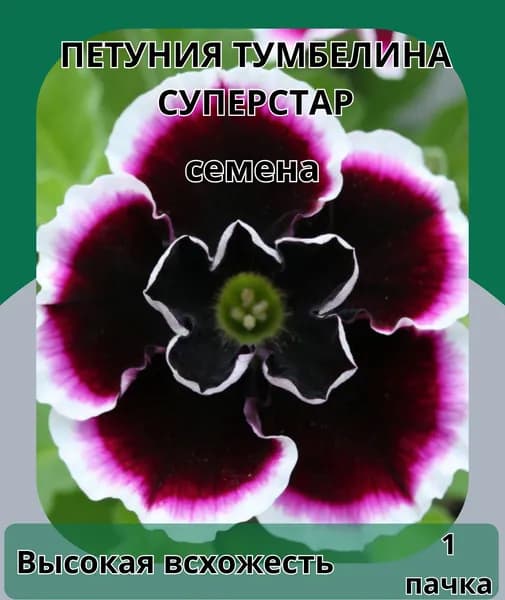 Петуния Тумбелина Суперстар, семена 10шт