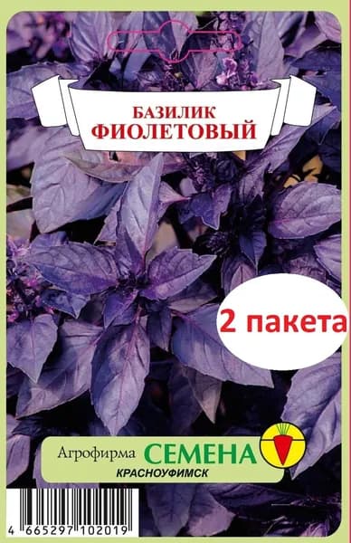 семена базилик фиолетовый 0,2 гр / 2 пакета, крупный, ароматный, полезный, для открытого / закрытого грунта, душистый