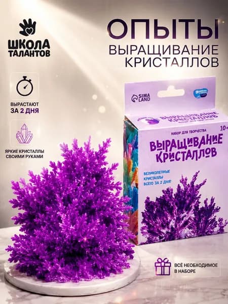Набор для выращивания кристаллов "Пур-Пур", опыты для детей