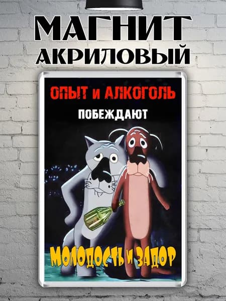 Магнит на холодильник "Опыт и алкоголь"