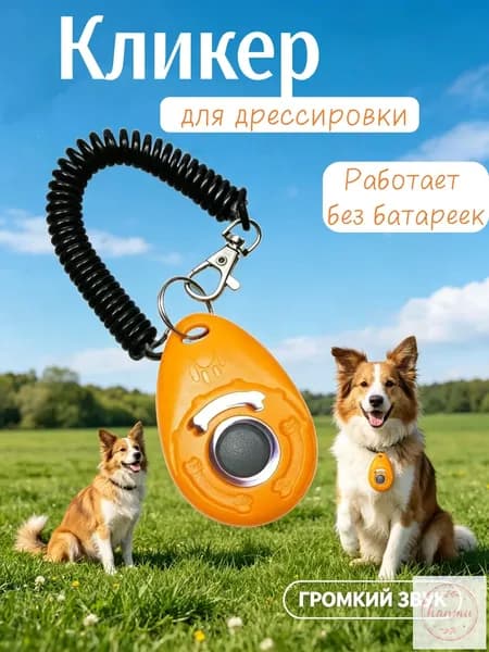 Оранжевый кликер-браслет для дрессировки собак с четким сигналом