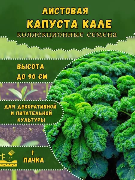 Семена Капусты листовой "Кале", 10 семян