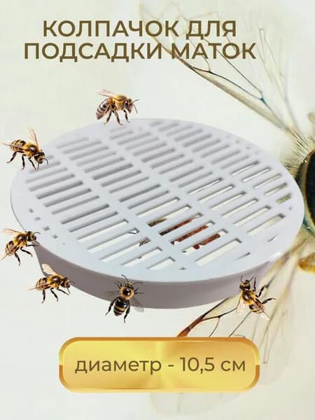 Колпачок для подсадки матки пластиковый 1 шт.
