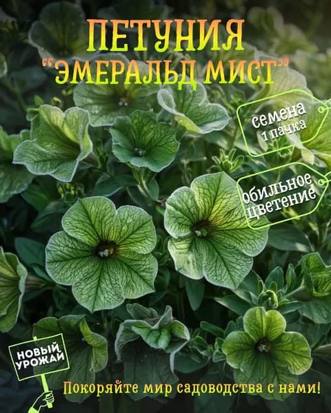 Петуния ампельная Эмеральд Мист (Emerald Mist - Изумрудный туман), семена, 10 шт.