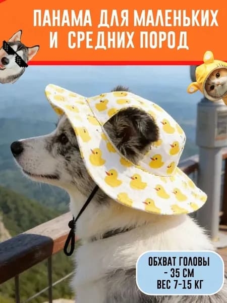 Панама для собак мелких и средних пород