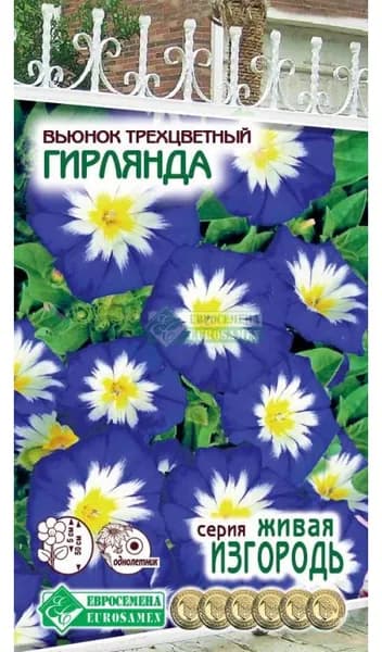 Вьюнок трехцветный Гирлянда (1 гр)