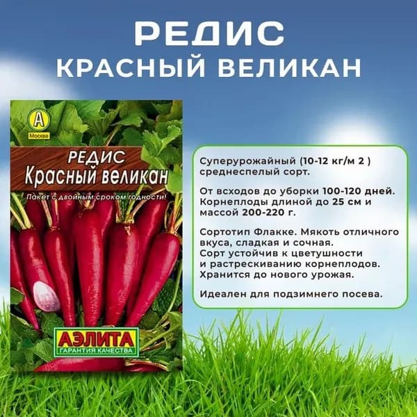 Семена Редис "Красный великан" Агрофирма Аэлита