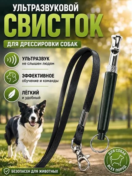 Металлический УЛЬТРАЗВУКОВОЙ бесшумный свисток для дрессировки собак со шнурком