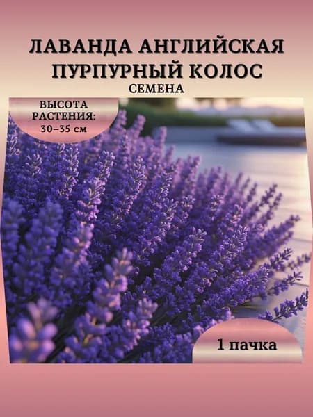 Семена Лаванды Ангийской "Пурпурный Колос", 10 семян