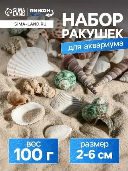 Морской микс ракушек для декорации аквариума