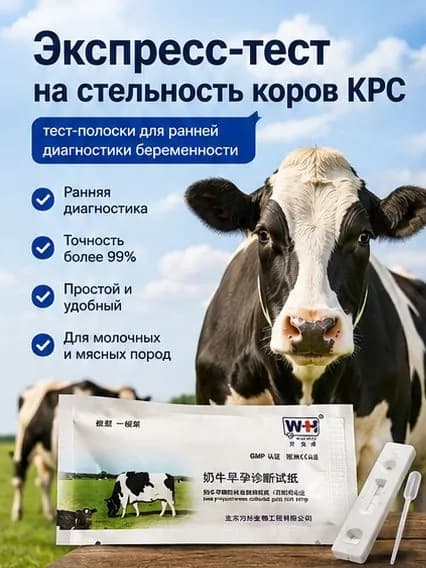 Тест на беременность у коров