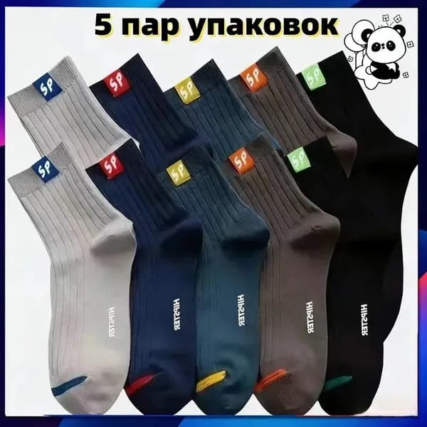 Носки мужские, 5 пар