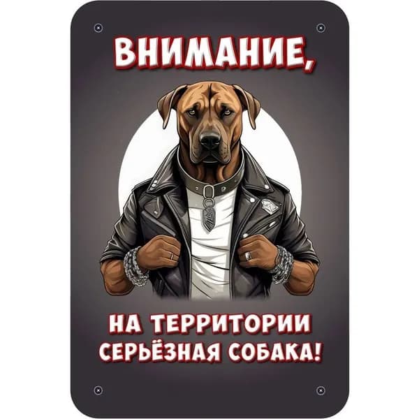Декоративная табличка "Внимание, на территории серьёзная собака!" (Осторожно, злая собака) / размер 30х20см, Риджбек