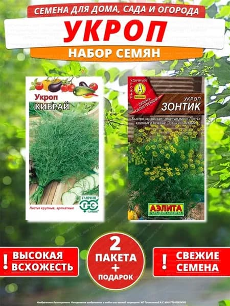 Семена укроп для дома сада посадки