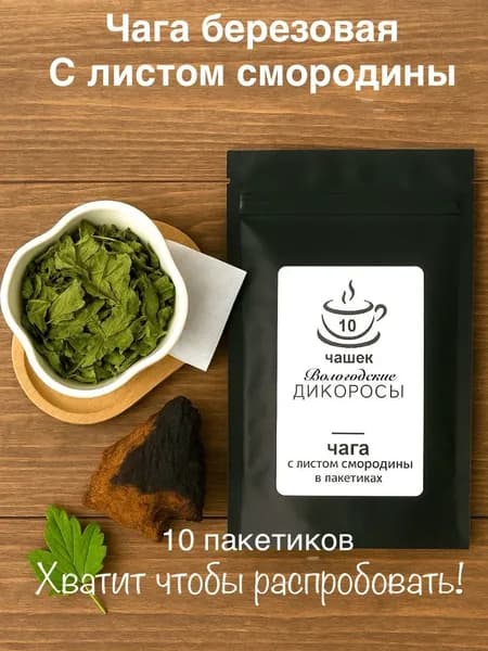 10 чашек, Чага-чай со смородиной в пакетиках 10шт., натуральная березовая чага, смородина лист, 20 гр , Сбор 2025г , "Вологодские Дикоросы"