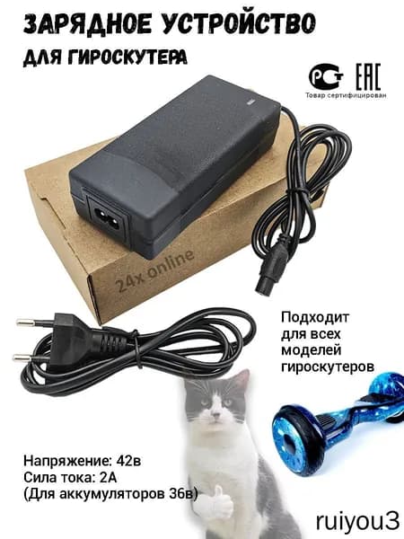 Зарядное устройство для гироскутера