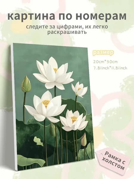 Картина по номерам на холсте с подрамником 20х30 "Белый лотос"
