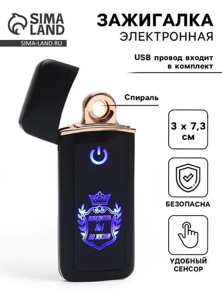 Зажигалка электронная "Победитель №1 по жизни", USB, спираль