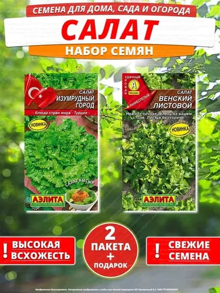 Семена салат для дома сада посадки