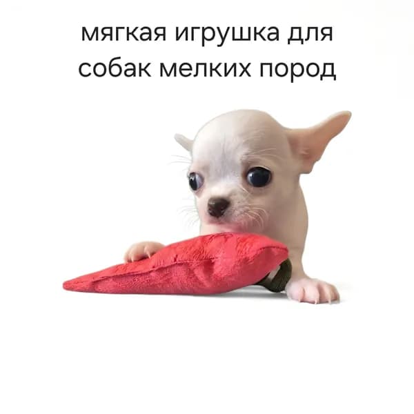 Мягкая игрушка для собак