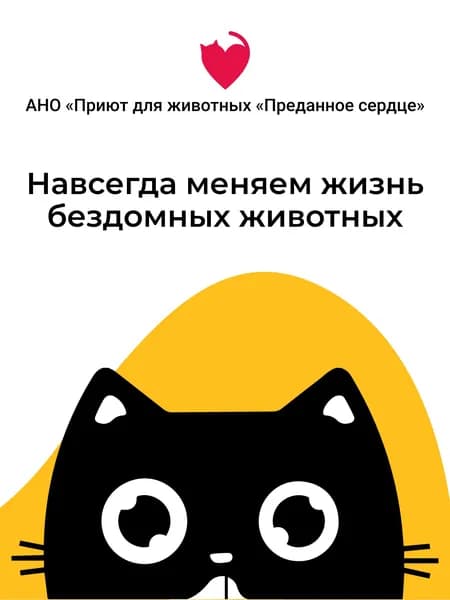Благотворительный сертификат АНО "Приют для животных "Преданное сердце"