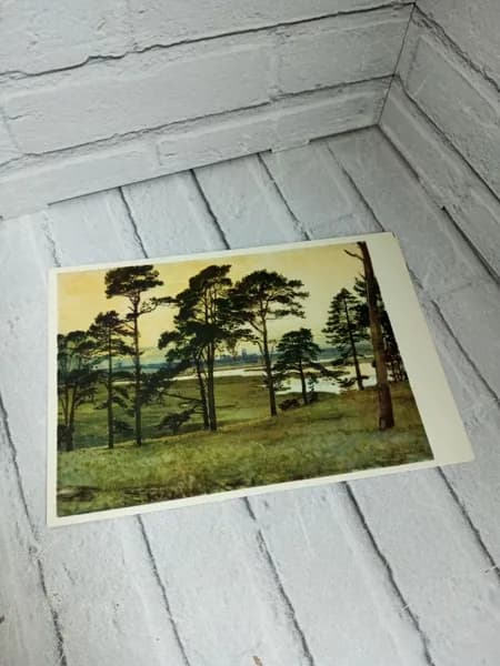 Канцелярия антикварная/винтажная Открытка Вид на замок Блейсберг 331