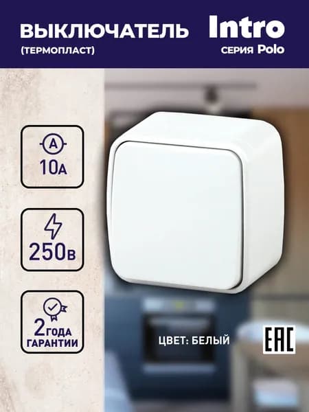 Выключатель одноклавишный Intro 3-101-01 Polo 10А-250В белый