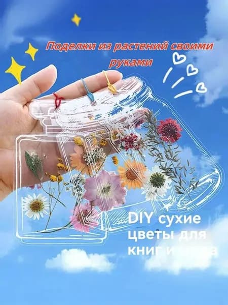Набор креативных закладок для сухоцветов, ручная работа, сделай сам, прозрачный зажим для образцов растений с тиснением, 20 шт.