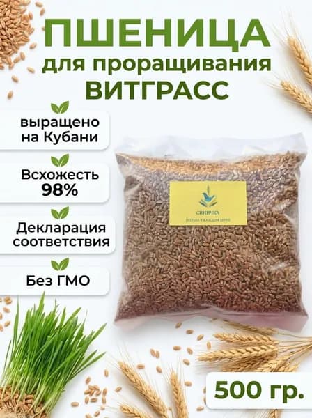 Пшеница для проращивания 500 гр., семена пшеницы для микрозелени, витграсс.