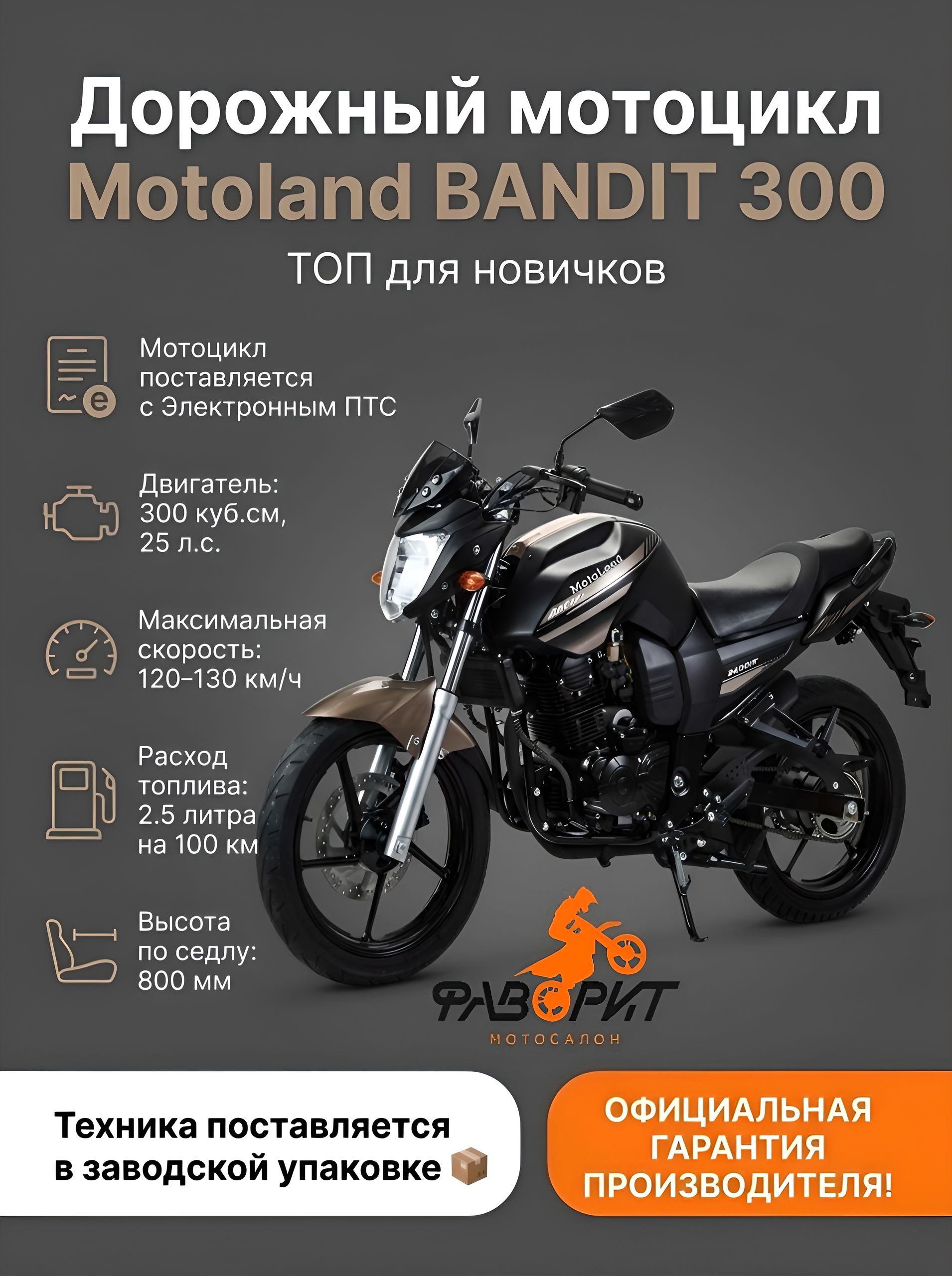 Мотоцикл дорожный Motoland BANDIT 300 с ПТС