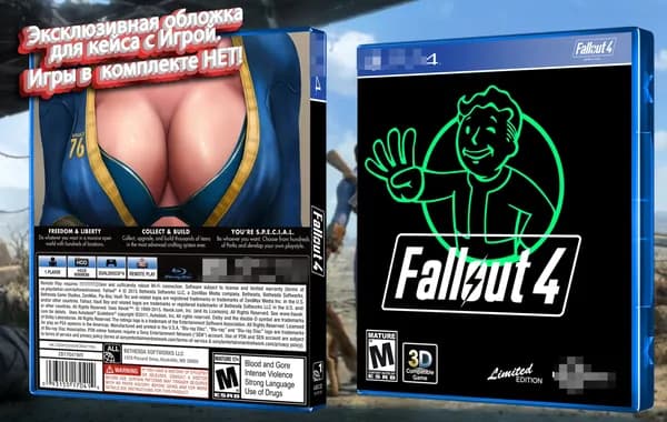 FallOut 4 / Эксклюзивная Обложка для Кейса PS 4