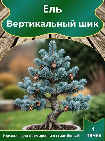 Ель Вертикальный шик, семена 10 шт. (бонсай)