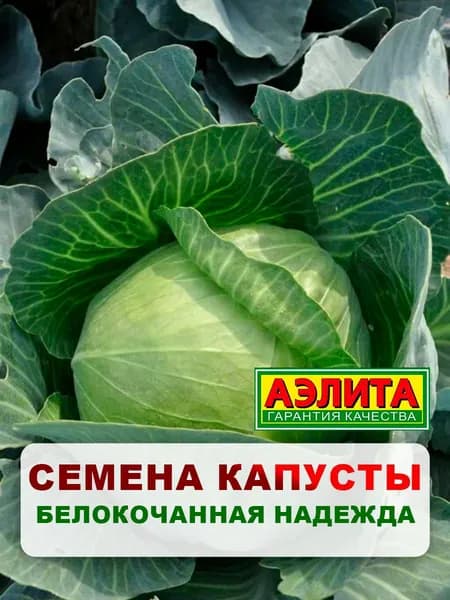 Семена капуста б/к "Надежда", 0,5 г, однолетние цветы, для дачи, сада и огорода, клумбы, в открытый грунт