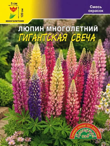 Люпин многолетний ГИГАНТСКАЯ СВЕЧА смесь окрасок (Семена Цветущий Сад, 0,2 г семян в упаковке)