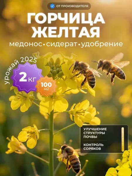 Сидерат горчица желтая семена 2 кг