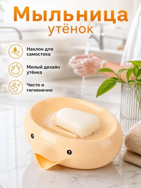 Мыльница