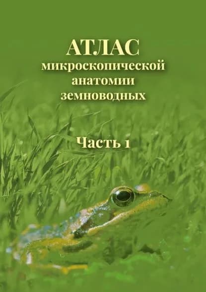 Атлас микроскопической анатомии земноводных. Часть 1 | Гуменникова С. С., Ярцев Вадим Вадимович | Электронная книга