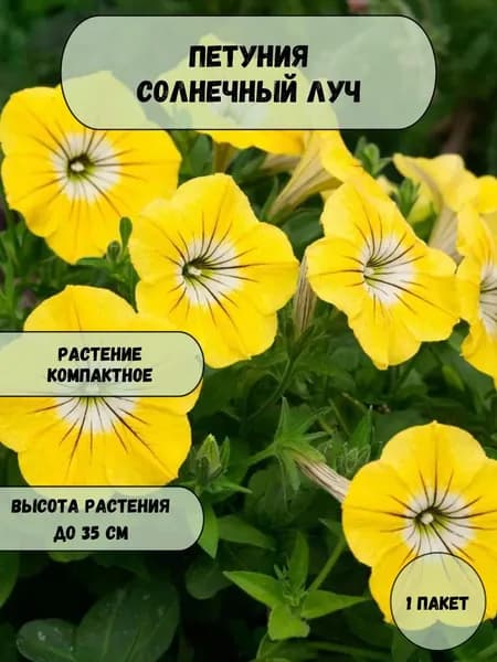 Петуния Солнечный луч семена 10 шт