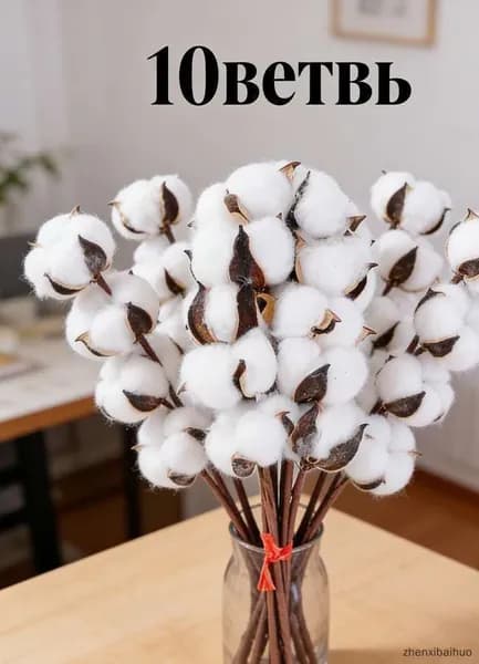 Сухоцветы Хлопок, 110 гр, 10 шт