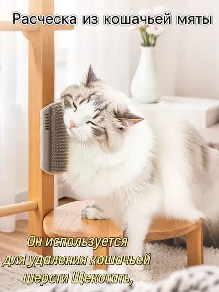 Расческа из кошачьей мяты,Он используется для удаления кошачьей шерсти Щекотать, пощекотать