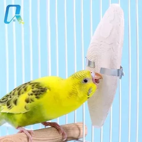 птичья каракатица 10-13 см для попугаев, кости глубоководной каракатицы с металлическими скобками