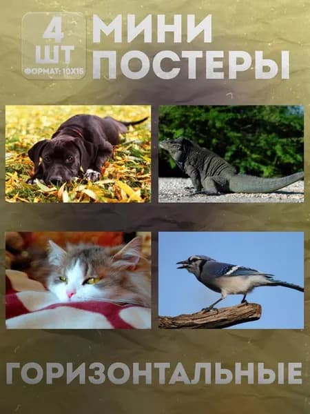 Мини постеры 10 на 15 (набор) «Животные» 4 шт