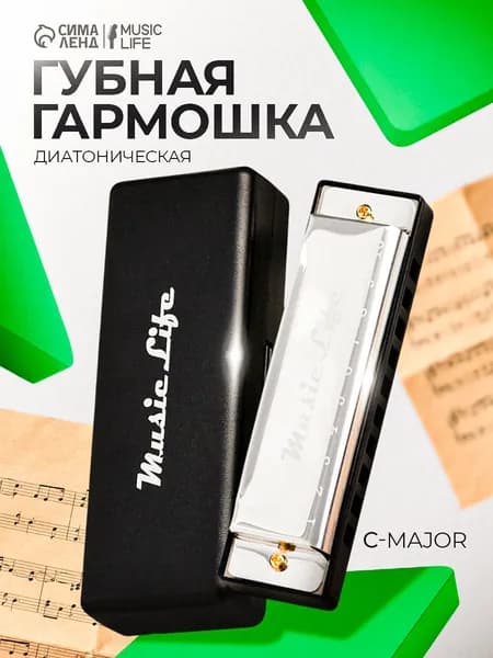Губная гармошка диатоническая, C-major, с футляром, серебристая