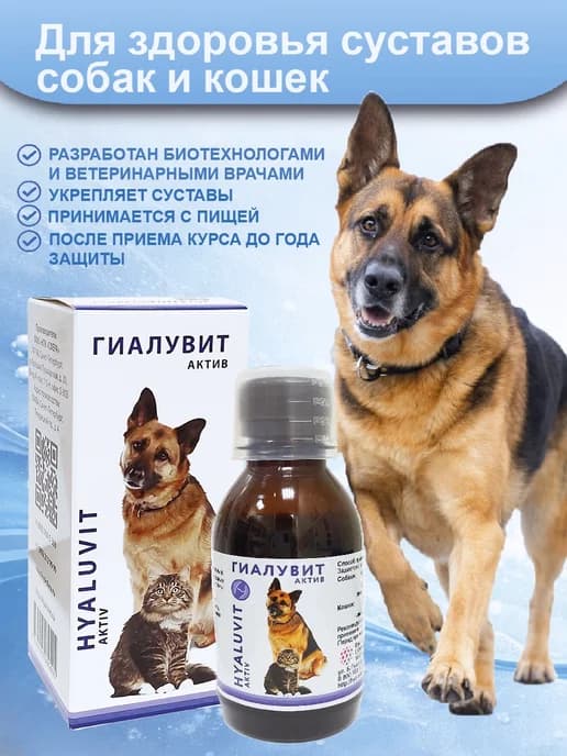 Гиалувит Актив, 1 фл, 125 мл, Россия