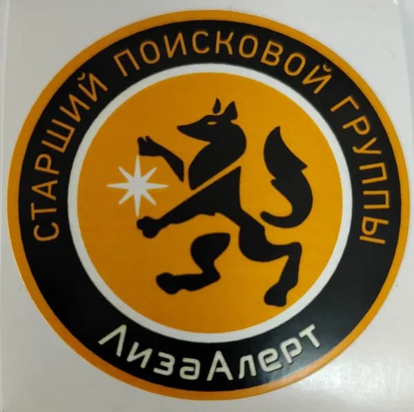 Наклейка/стикер СПГ ЛизаАлерт 5х5 см