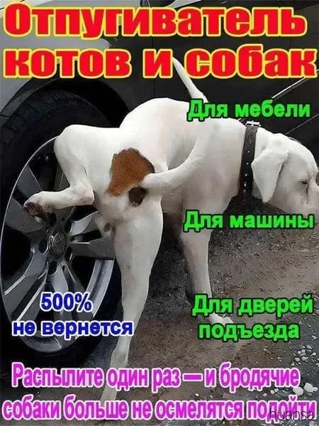 Спрей А-ТАК отпугиватель для собак эффективная защита от меток и порчи имущества. Быстрый результат.