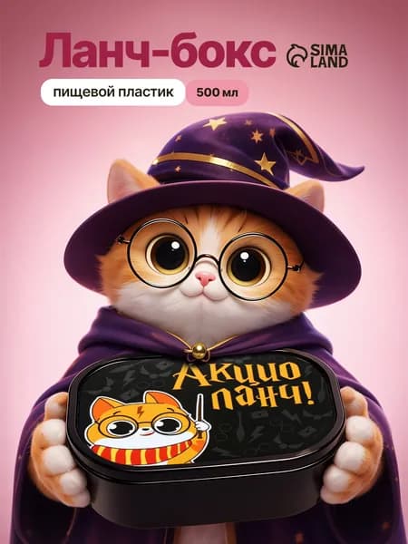 Ланч бокс для еды "Акцио Ланч", 500 мл