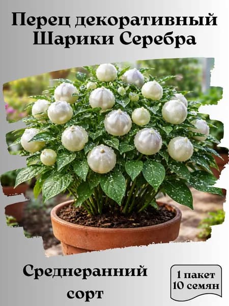 Перец декоративный Шарики Серебра, семена, 10 шт.