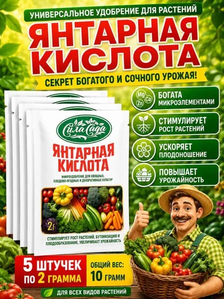 Янтарная кислота