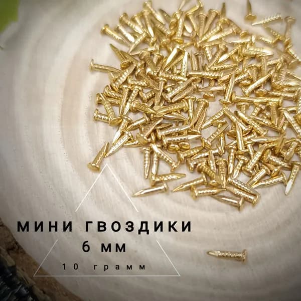 Гвозди 1.2 x 6 мм  165 шт